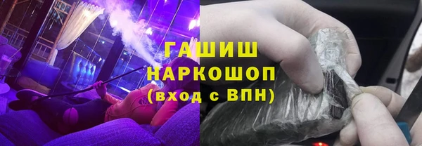 индика Абаза