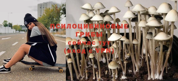 прущий лед Алексеевка